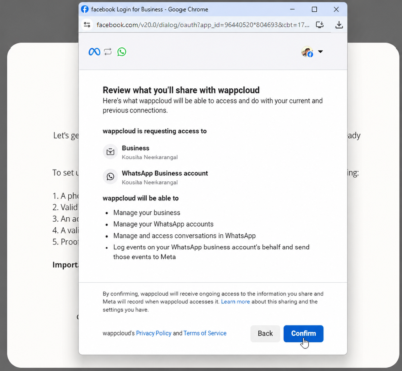 Figure 5.6 — Granting WappCloud access permissions