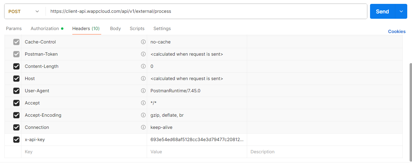 Postman API Key